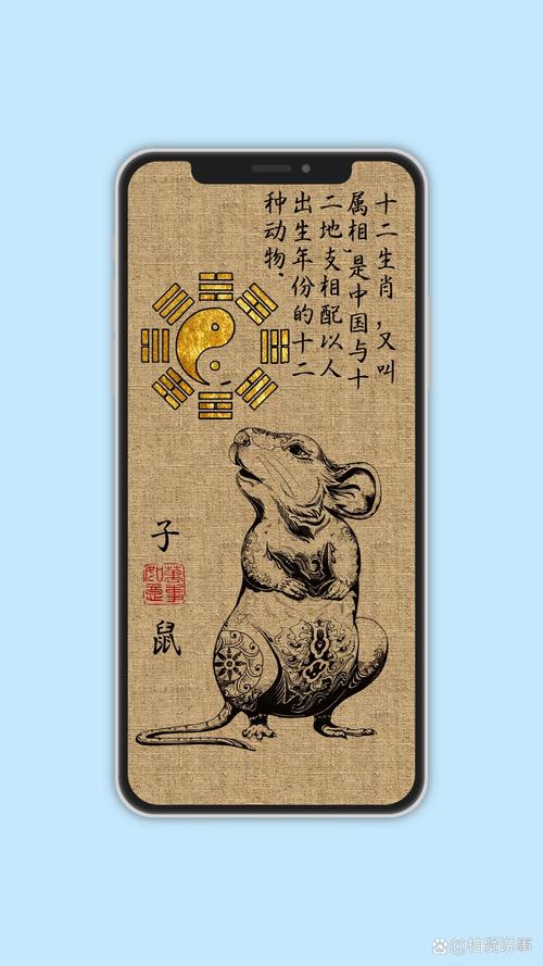 故家子弟打一生肖动物,故家子弟打一生肖动物是什么生肖,答案揭晓解析落实鼠