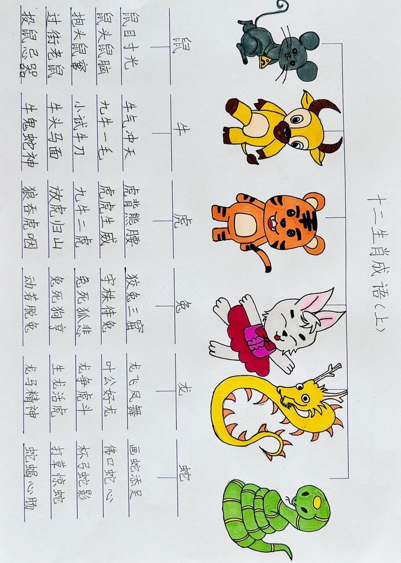 打字打一生肖动物,打字打一生肖是什么动物