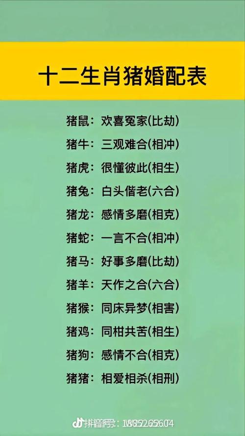 忘打一生肖是什么,忘打一生肖动物是什么