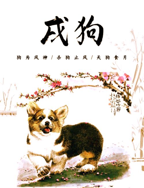 好马今期走在先是指什么生肖,好马今期走在先,好狗独守龙门前