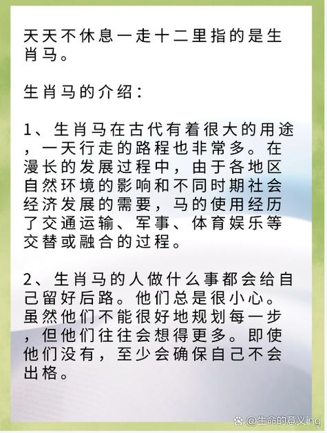 “横七竖八五门马，该买大来不买小”打一准确动物生肖的简单介绍