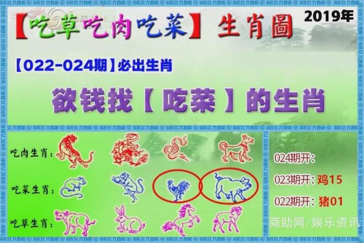 今晚最准确一肖,今晚最准确一肖动物