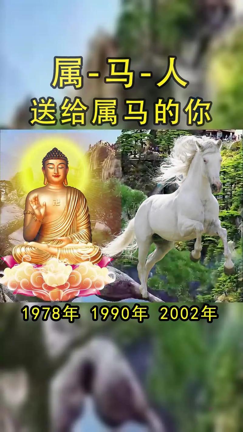 好马今期走在先最佳答案,好马不走回头路是什么生肖
