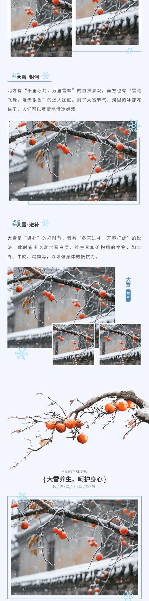 关于“北国风光天蓝蓝大雪飘飞白一片”是什么生肖的信息