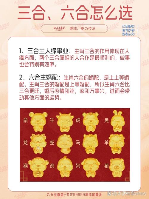 三三今期定中特打一数字,三三定码中有期是什么生肖