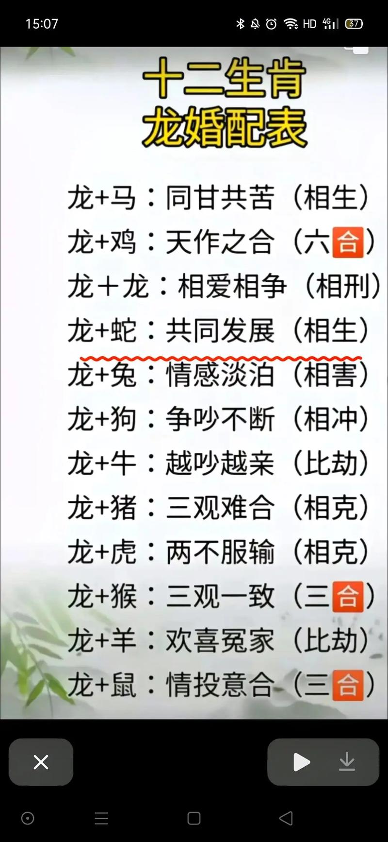 龙凤呈祥打一生肖是什么,龙凤呈祥什么生肖最佳答案