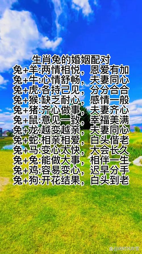兔配什么生肖最好婚姻相配呢,兔配什么生肖最好婚姻相配呢女