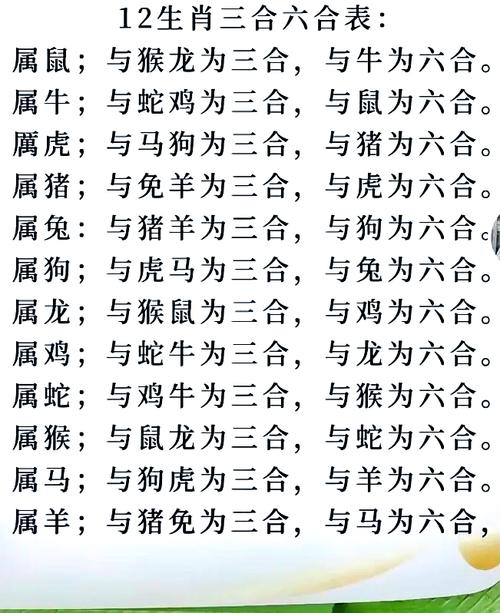 三字打一生肖是什么,三字打一生肖是什么动物