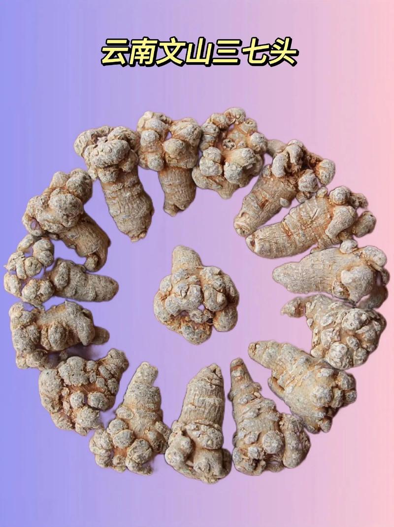 三七出特今期来是指什么生肖?的简单介绍