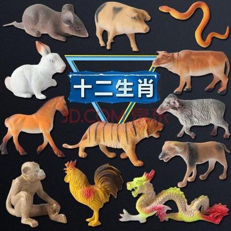 今期生肖出水边最佳动物,今期生肖出水边是什么动物