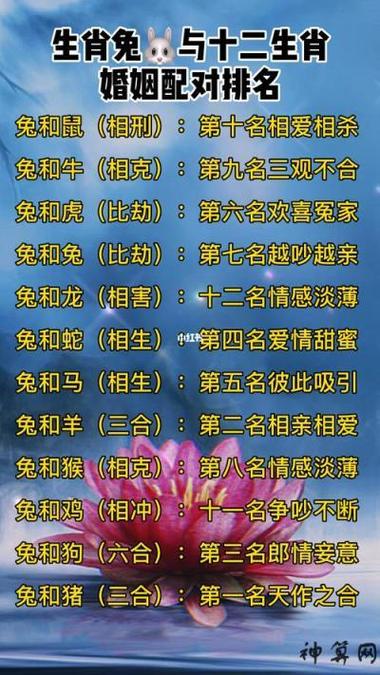 生肖兔和什么生肖最配,生肖兔和什么生肖最配二五是相合