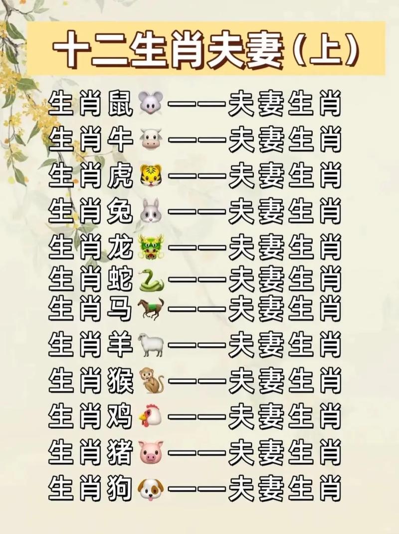 鼠配什么生肖最好的婚姻,鼠配什么生肖最好的婚姻呢
