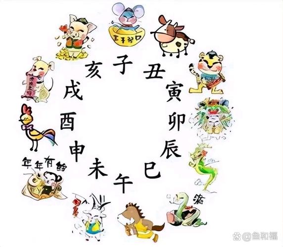 打一生肖弱,弱代表什么生肖