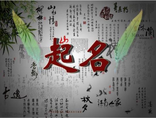 一个人打一生肖,我只属于你一个人打一生肖