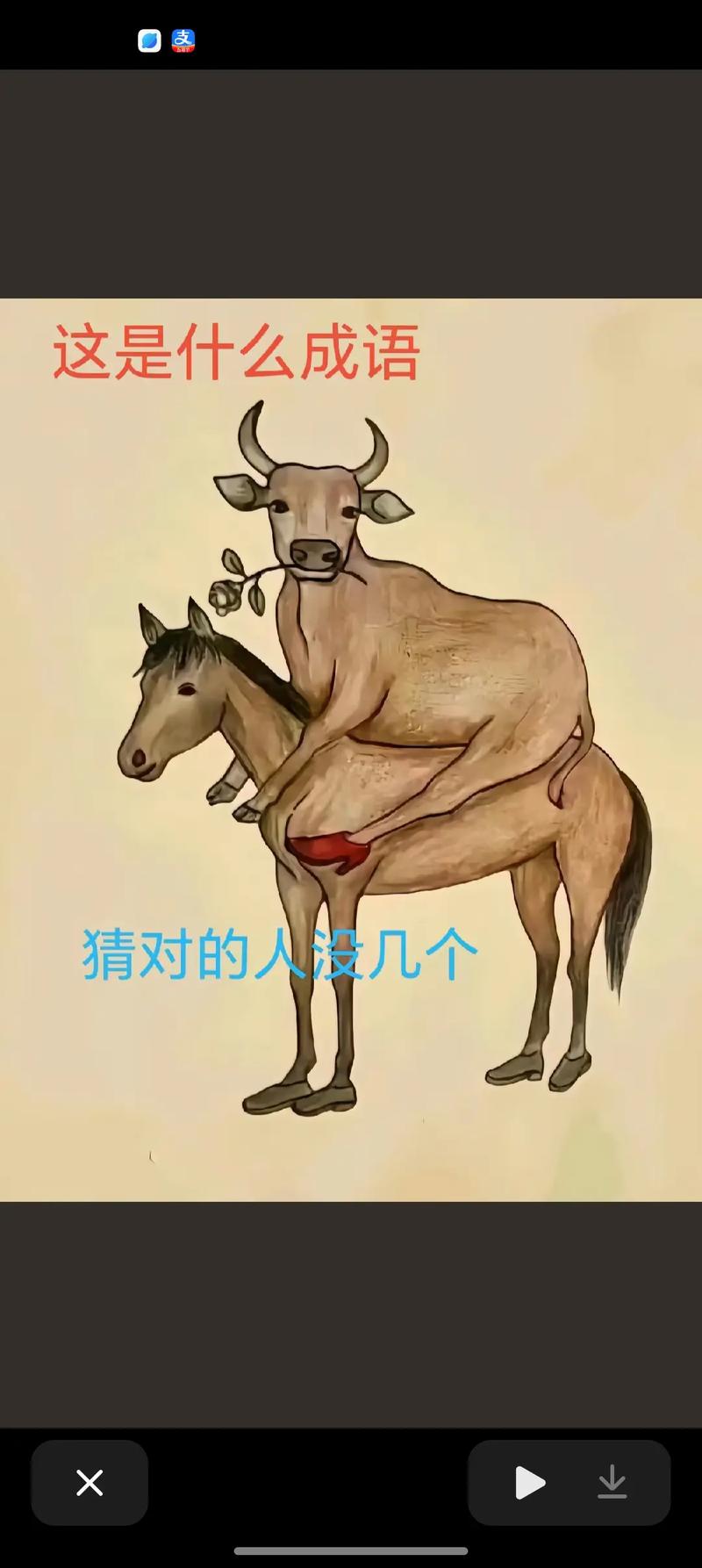 庖了解牛打一生肖,庖丁解牛的动物打一生肖