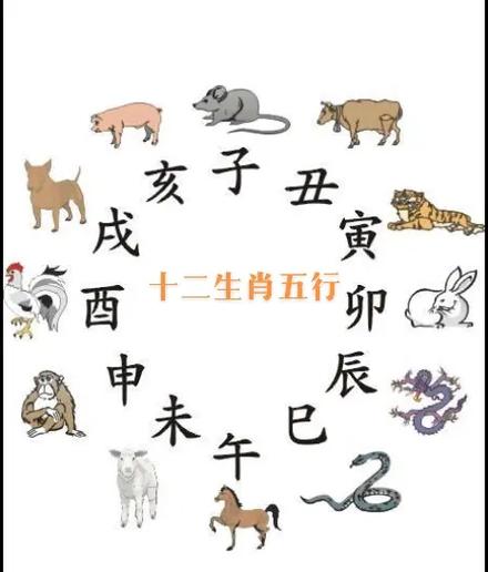 今期生肖二六乘,今期生肖二六乘最佳生肖