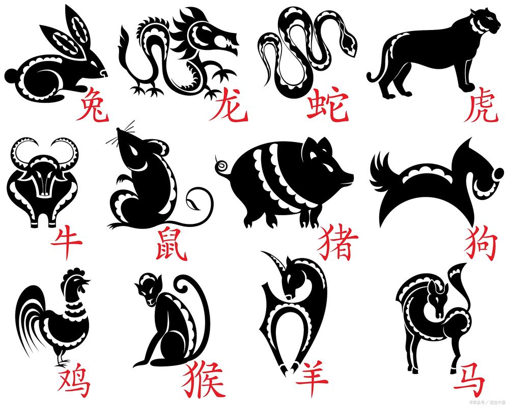 最完美的生肖打一生肖是什么,最完美的生肖打一生肖是什么动物