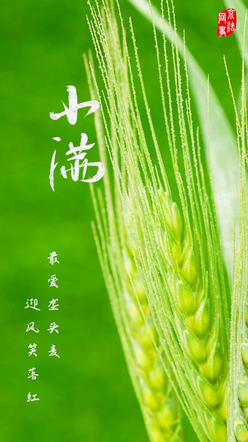 今期落尾小满看头,今期落尾小满看头打三个数字