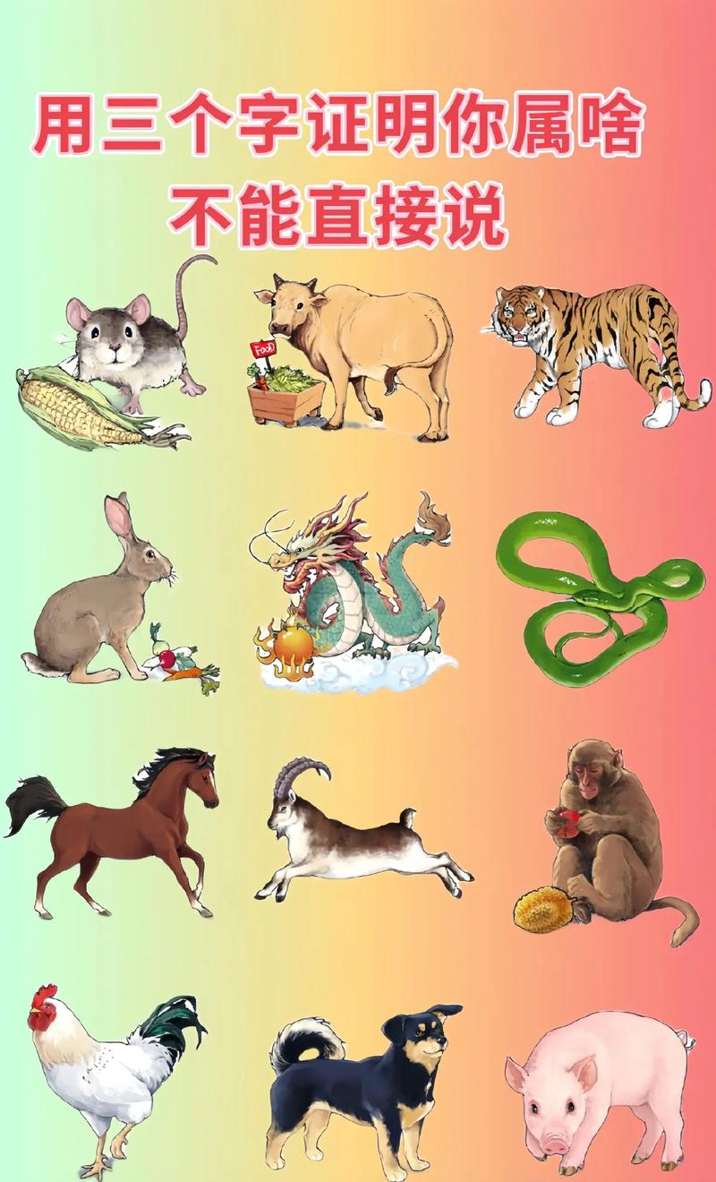 细打一生肖是什么,细的动物是什么生肖