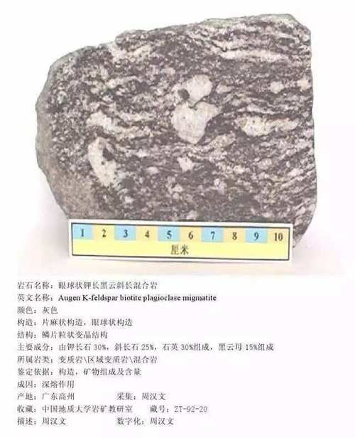岩石打一生肖,岩石是什么东西?