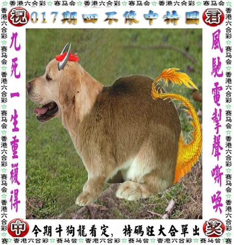 今期特马七铁马猜准确生肖,今期特马开本期代表什么动物