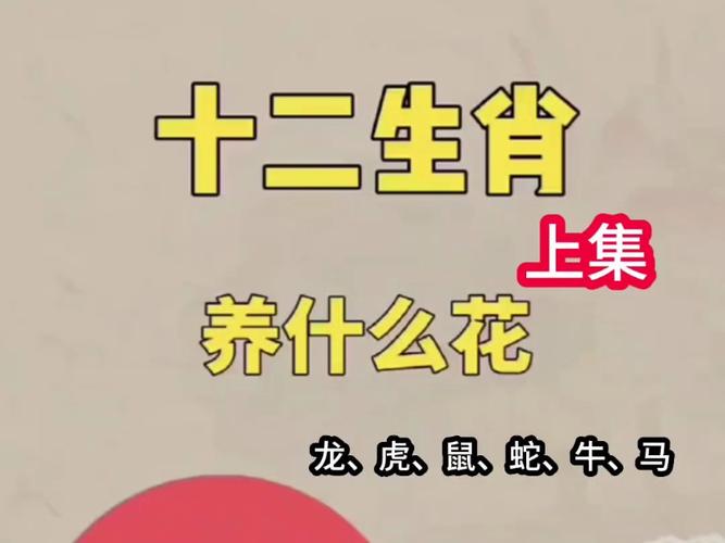 今期开什么生肖百度知道,今期开什么生肖动物视频2o19