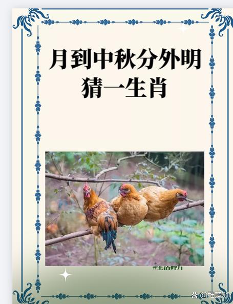 决打一生肖,决打一生肖最佳