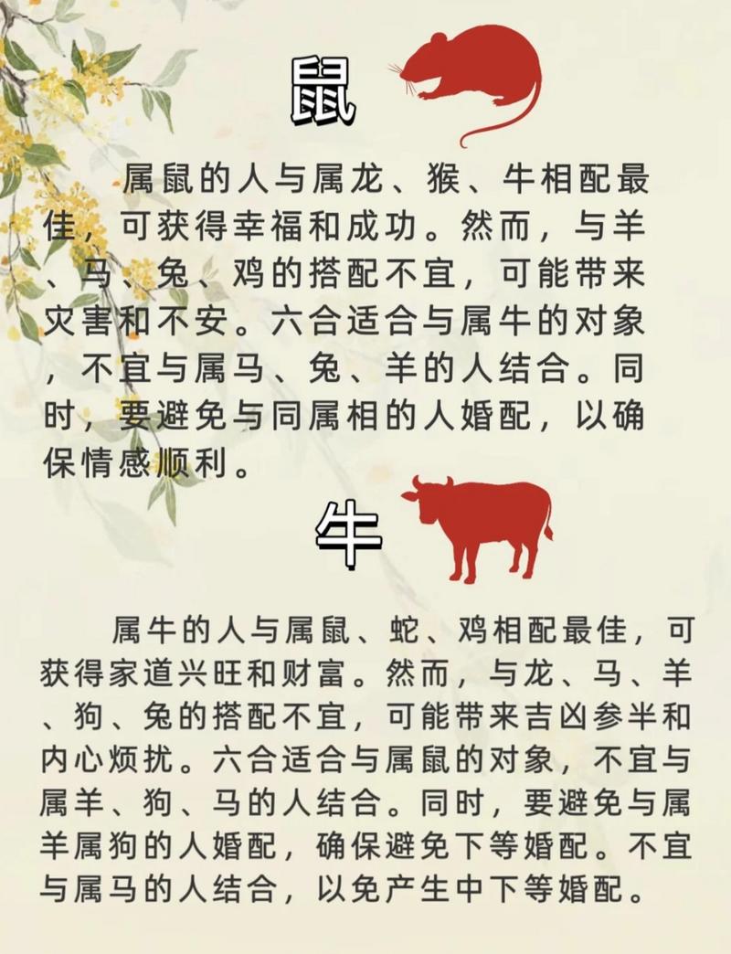 什么生肖克龙和鼠相配,什么生肖克龙和鼠相配最好
