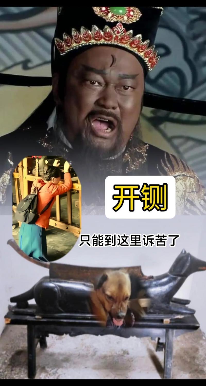包公属于什么生肖动物,包公是十二生肖属于哪个动物
