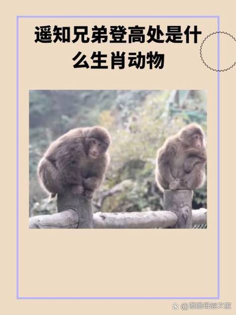 “七九跟业五不离，五千将士丧胡尘”指什么生肖的简单介绍