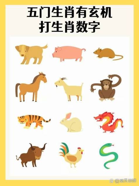 今期喂好猜准确数字,今期生肖最好查打一数字