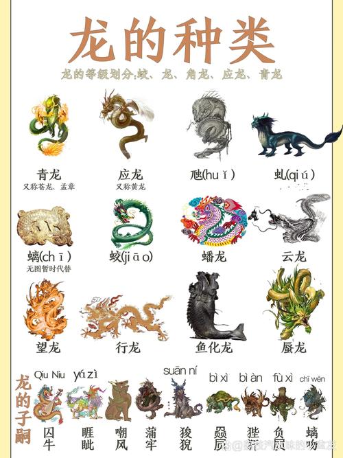 今期动物要开龙指什么生肖,今期开什么生肖动物视频2o19