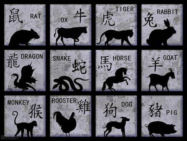 今期动物有木头猜生肖,今期生肖有木头是什么生肖?360问答
