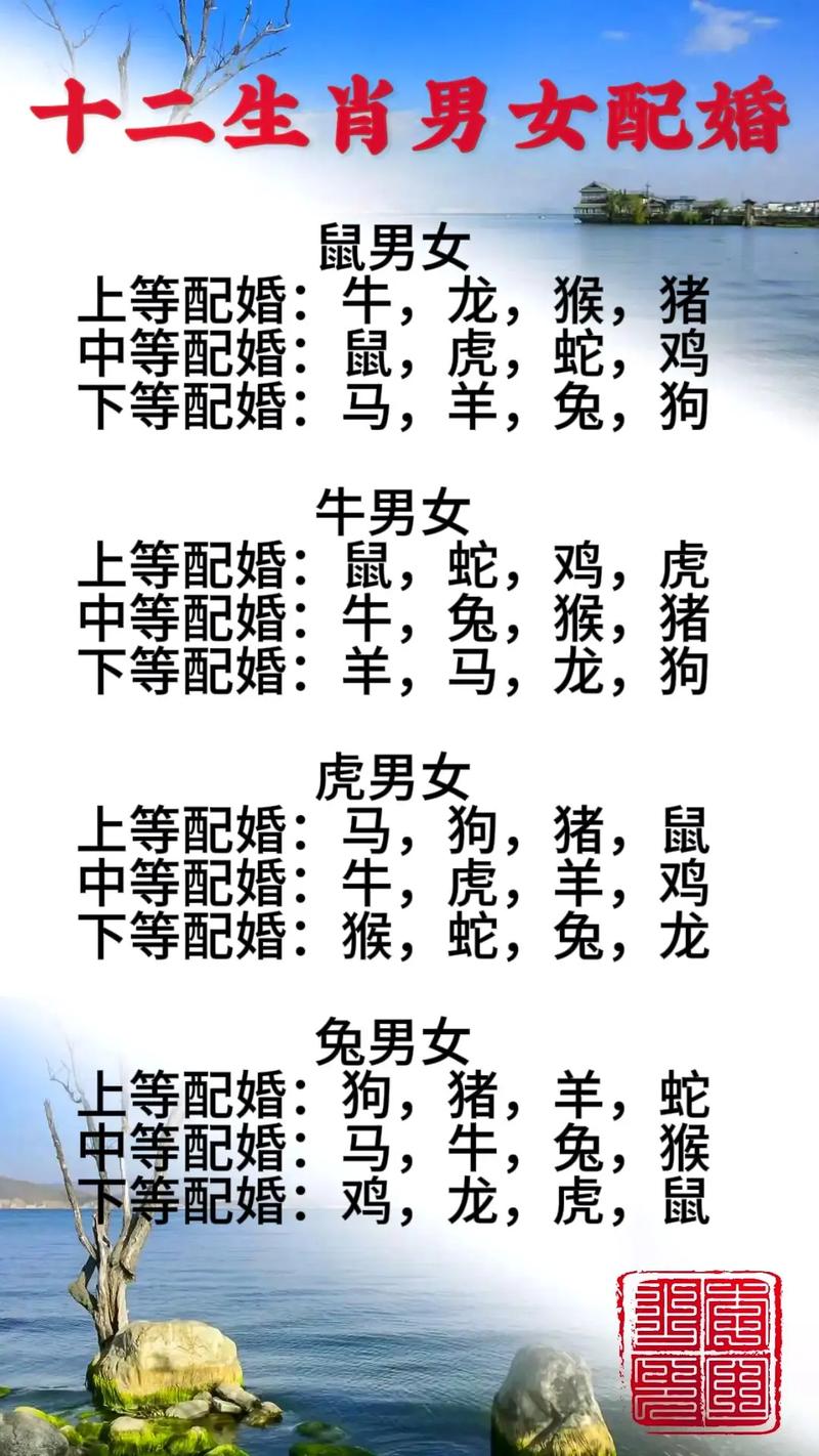 龙生肖和什么生肖相配,龙生肖和什么生肖相配婚姻