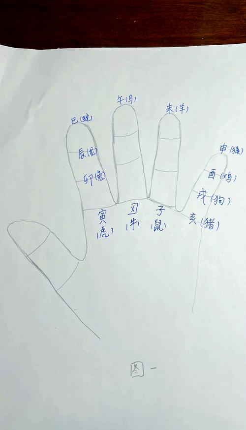 手指打一生肖谜底,手指是指十二生肖哪肖
