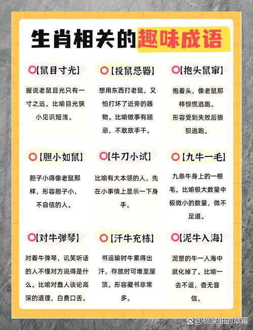 关于“从来一八反弹算，月作明灯夜夜光”打一准确动物生肖的信息