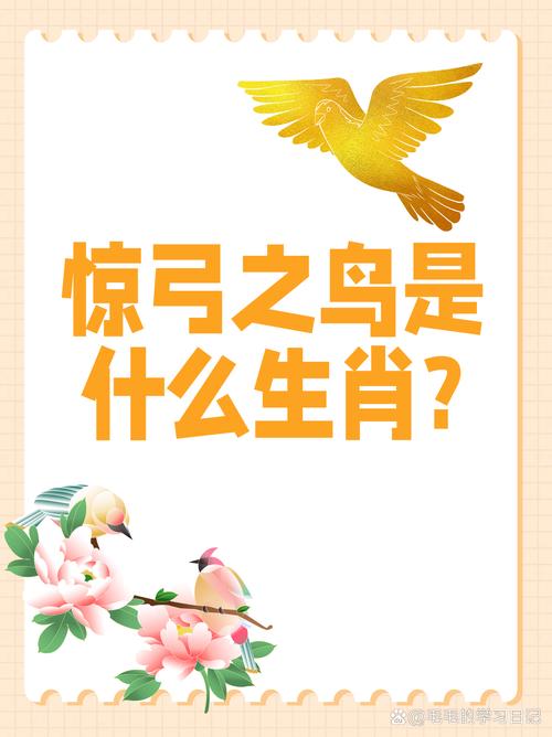 小心翼翼打一生肖是什么,小心翼翼打一生肖是什么动物