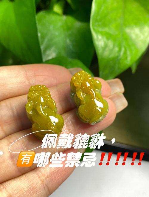 什么生肖不合适带貔貅,什么生肖不可以佩戴貔貅