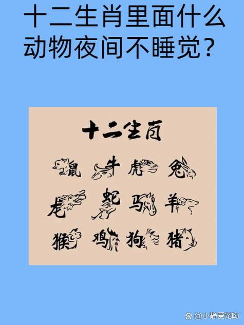 “将门出生有犬子，天地一间相隔一”是什么生肖动物的简单介绍