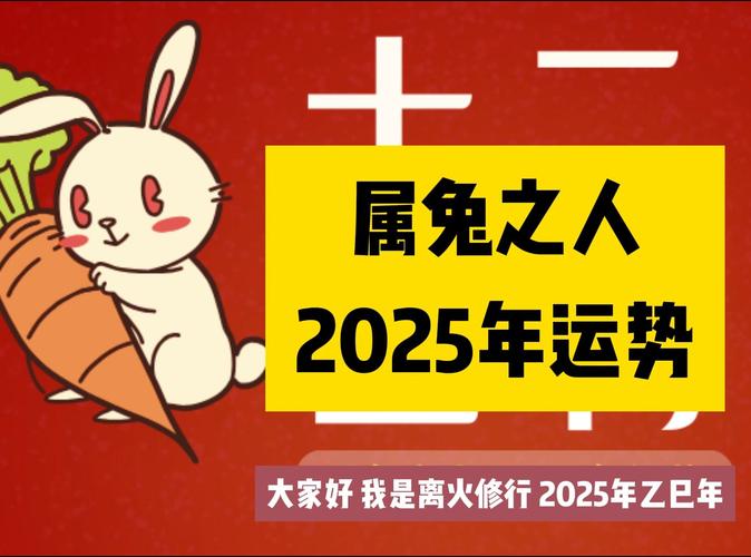 今期生肖兔子红猜一生肖,生肖兔今年运势2025年每月运势