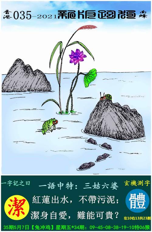 2019年玄机彩图秘籍,2019年正版玄机资料大全