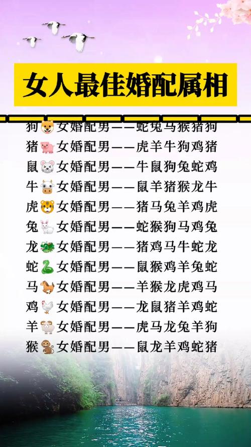 “有男有女正合身”指什么生肖,有男有女正合身一阴一阳取好码什么生肖