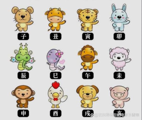 形影不离开过什么生肖,形影不离的动物是哪个生肖