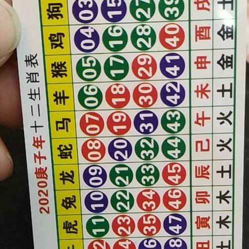关于今期生肖在一头代表什么数字的信息