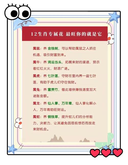 一定开红花是什么生肖呢视频,一定开红花是什么生肖呢视频讲解