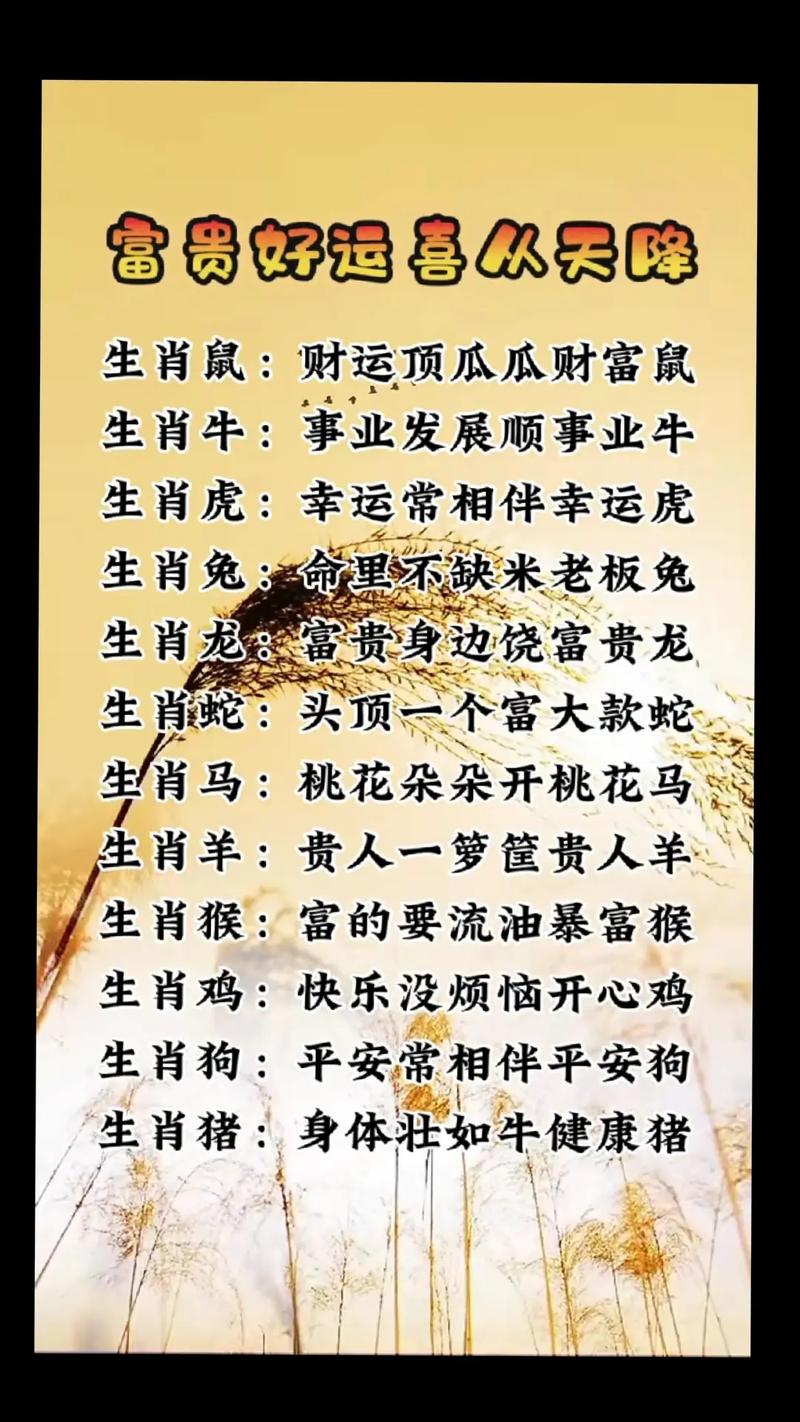 好合今期开最佳生肖,好合今期开为什么是马