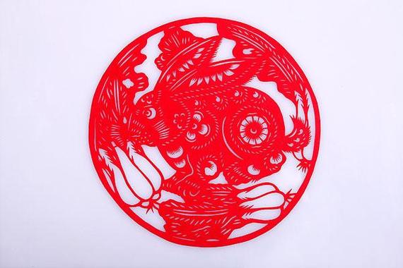 生肖开红花是什么生肖动物,生肖开红花是什么生肖动物图片