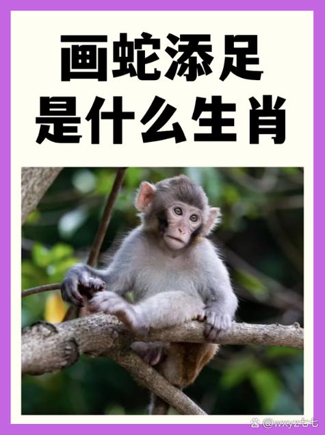 关于今期还看蛇上树是什么生肖的信息
