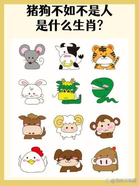 翅打一生肖最佳答案,翅代表什么动物的生肖