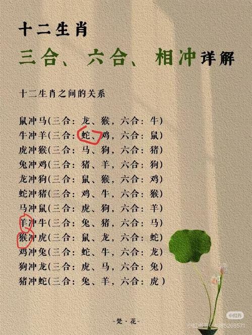 悲喜兼集打一生肖动物,悲喜交加打十二生肖里一生肖
